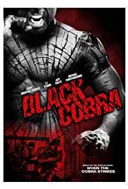 Black Cobra 2012 Dual Audio Hindi 480p 300MB FilmyZilla