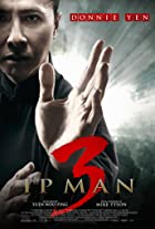 Ip Man 3 2015 Hindi Dubbed  480p 720p FilmyZilla