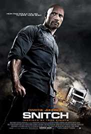Snitch 2013 Dual Audio Hindi 480p 300MB FilmyZilla
