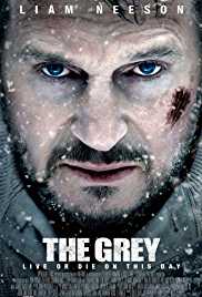 The Grey 2011 Hindi Dubbed 300MB 480p FilmyZilla
